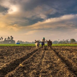 Why Organic Farming Matters: A Healthier Choice for You & the Planet