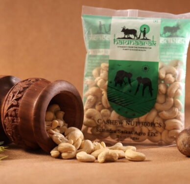 Buy Premium Cashew Nut Online – Fresh, Healthy & Delicious