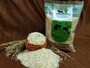 Benefits of Eating Samba Masuri Rice Daily – A Healthy Grain for Every Meal