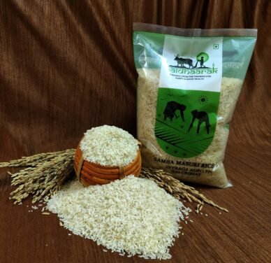Benefits of Eating Samba Masuri Rice Daily – A Healthy Grain for Every Meal