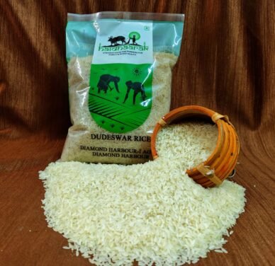 DUDHESWAR RICE